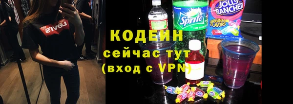 шишки Абаза