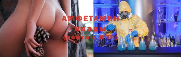 шишки Абаза