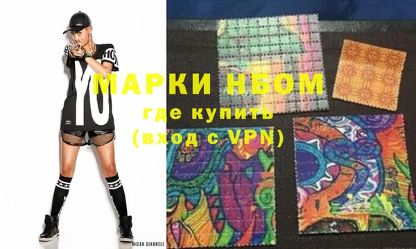 шишки Абаза