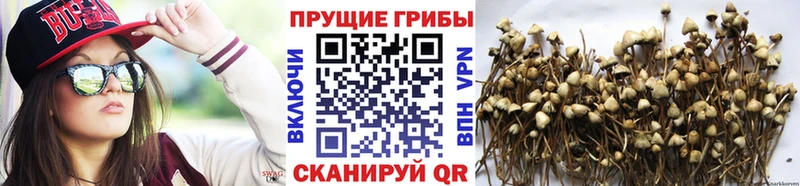 Галлюциногенные грибы Magic Shrooms  Собинка 